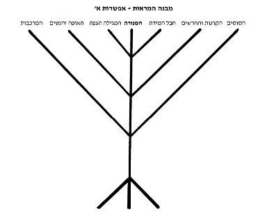 מבנה המראות
