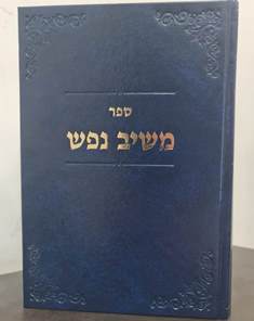 משיב נפש