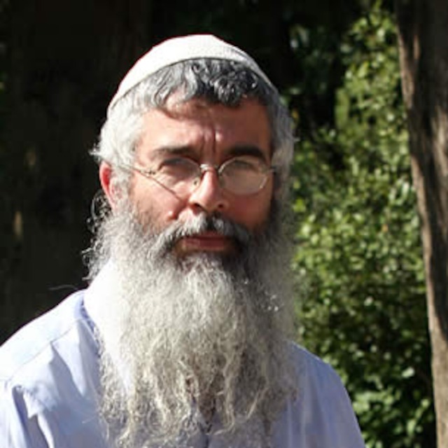 Rav Dov Singer