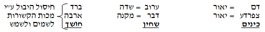 10 המכות