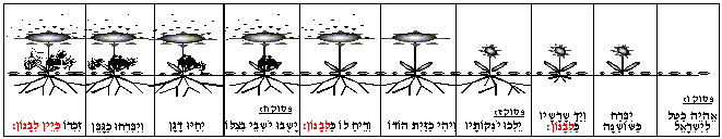 שובה 5