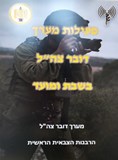 פיקוח נפש