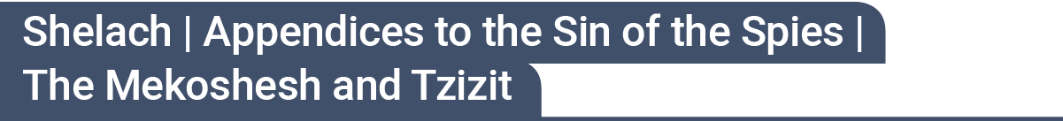 פ"ש