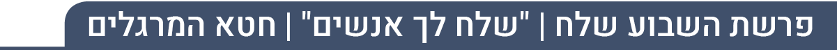 פ"ש