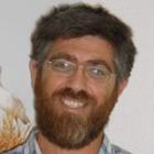 Rav Avishai Schreiber